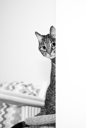 dsc_1818_30040616857_o